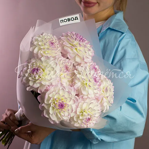 ГЕОРГИНЫ Букет Муза поэта