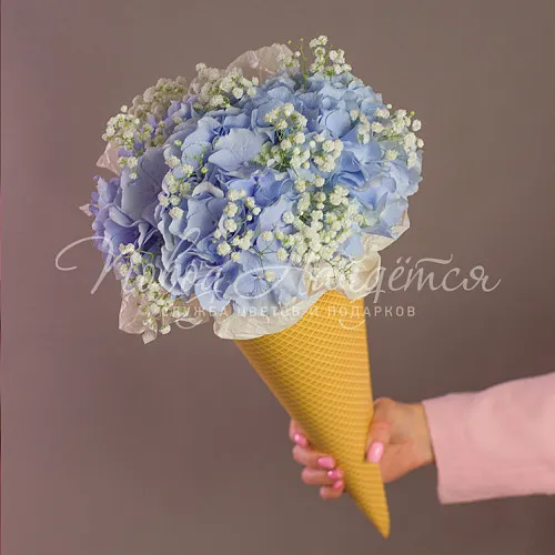 ГОРТЕНЗИИ Букет Черничный пломбир