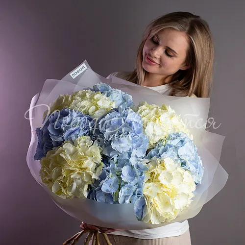 ГОРТЕНЗИИ Букет Океанский бриз