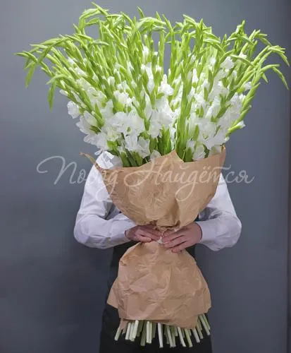 ГЛАДИОЛУСЫ Букет Навсегда моей