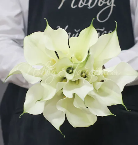 Букет невесты Букет Букет невесты № 049