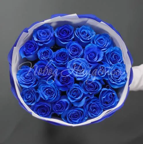 Синие розы Букет Загадочная история