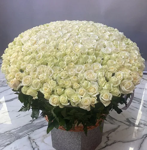 301 роза Букет 301 белая роза в корзине