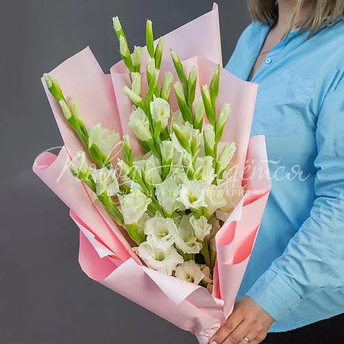 ГЛАДИОЛУСЫ Букет Робкий взгляд