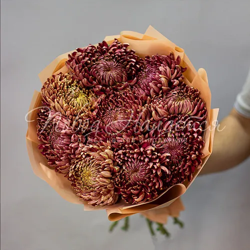 ХРИЗАНТЕМЫ Букет Шоколадница