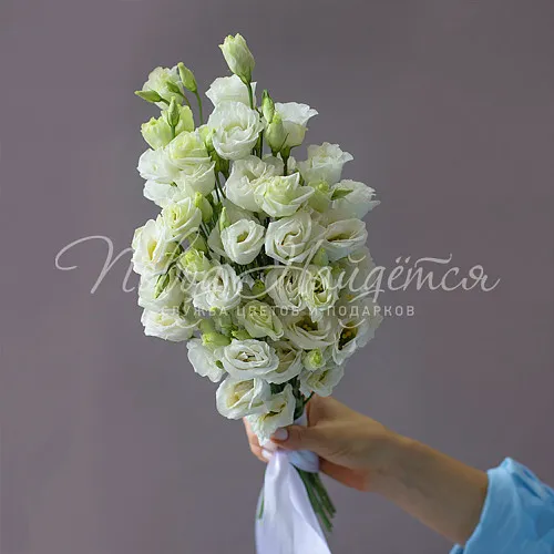 Букет невесты Букет Букет невесты №549