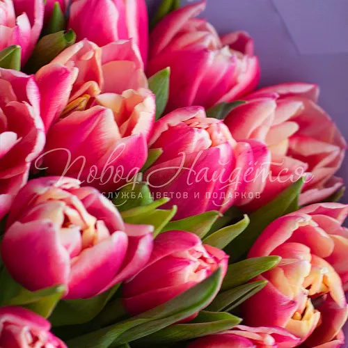 ТЮЛЬПАНЫ Букет Весенний закат