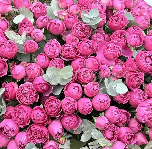 Корзины Корзина Белладжио