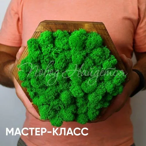 Зеленое Картина из стабилизированных цветов