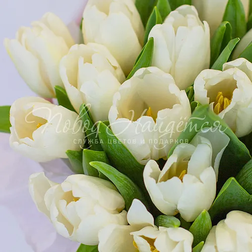 Моно Тюльпаны Букет Нежные подснежники