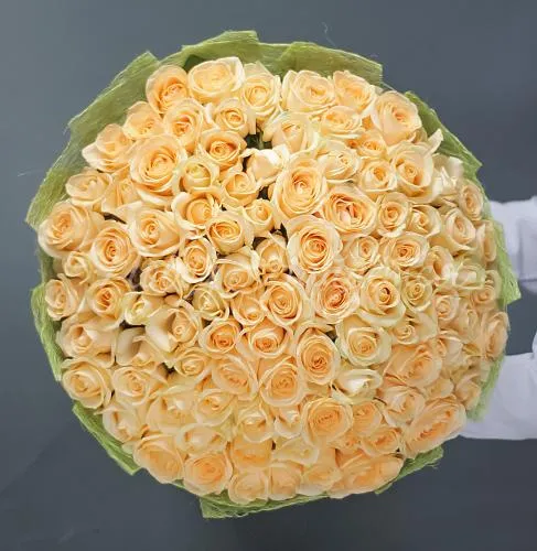 101 роза Букет Бари