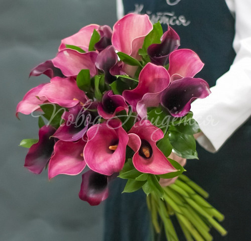 КАЛЛЫ Букет Вишневая легенда