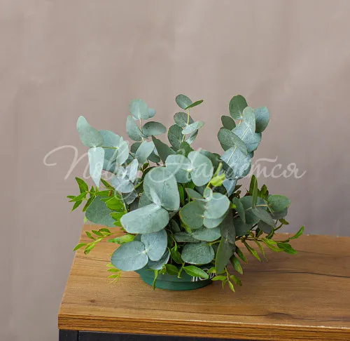 Мини-композиции Цветочная композиция Композиция №86