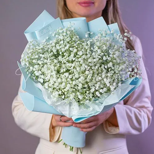 Цветы Букет Белая комета