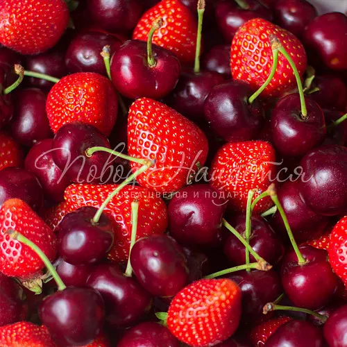 Корзины Корзина Безумная мечта