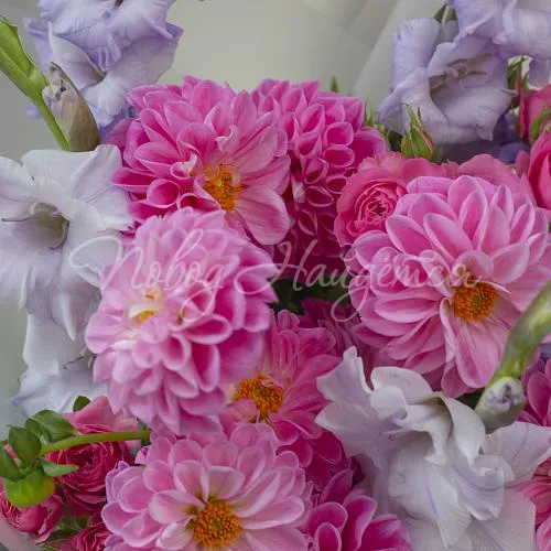 ГЕОРГИНЫ Букет Веселый день