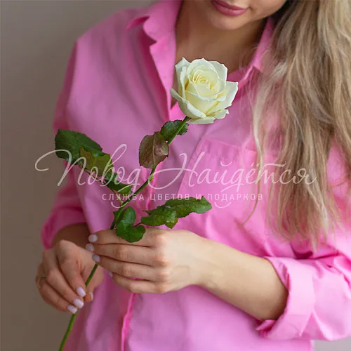 Розы Букет Белая роза 50 см