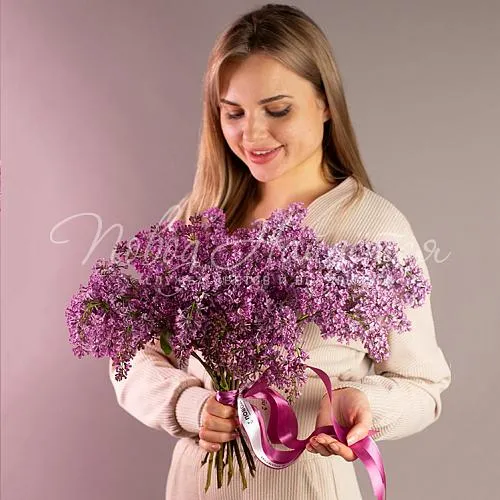 СИРЕНЬ Букет Весенняя песня