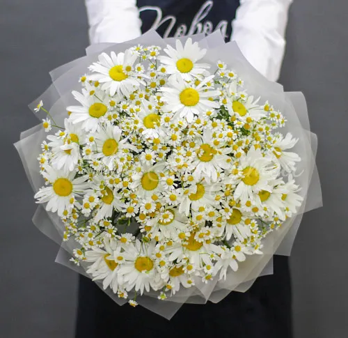 РОМАШКИ Букет Погода в доме