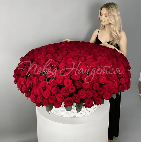 501 роза Букет Детройт