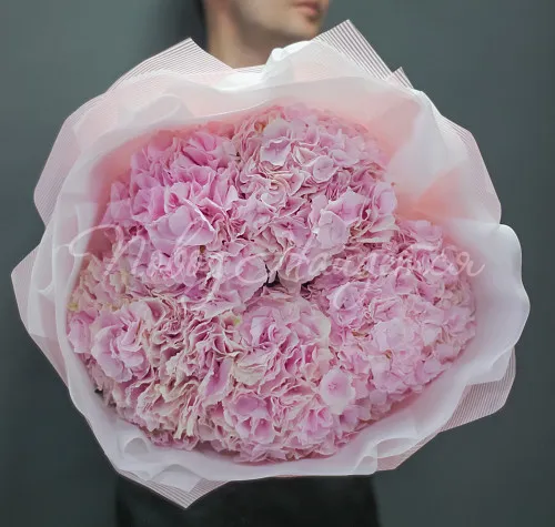 ГОРТЕНЗИИ Букет Веста