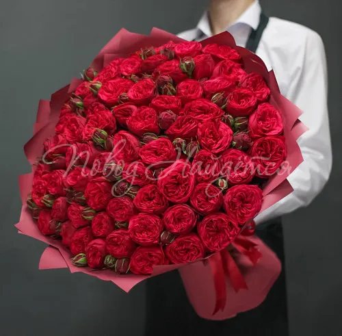 Пионовидные розы Букет Байрон