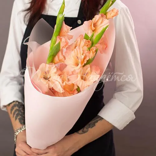 ГЛАДИОЛУСЫ Букет Утро принцессы