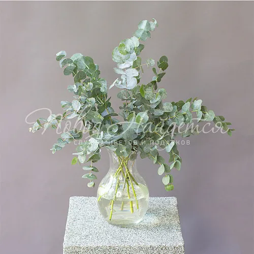 Букеты Букет Эвкалиптовый шелк