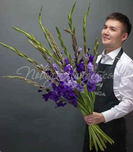 ГЛАДИОЛУСЫ Букет Моя мечта
