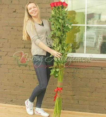 Розы ОГРОМНЫЕ: 100-170 см Букет Обалдайс