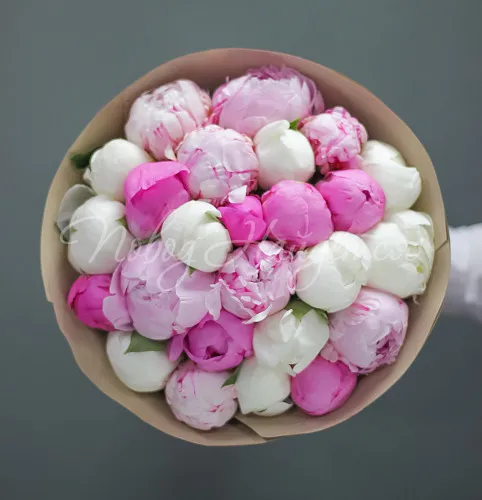 ПИОНЫ Букет Вишневый блюз