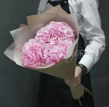 ГОРТЕНЗИИ Букет Розовый комплимент