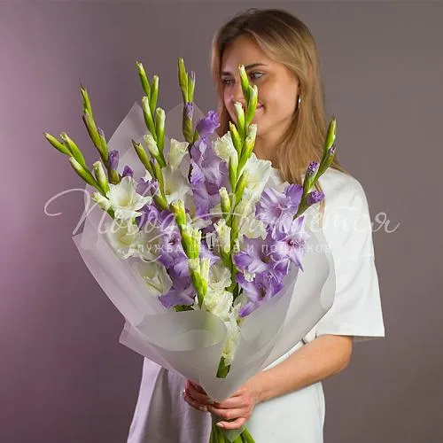 ГЛАДИОЛУСЫ Букет Балтика