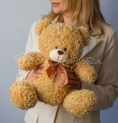 Мягкие игрушки Мишка, 50 см