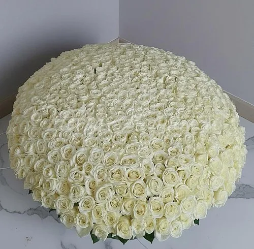 501 роза Букет Серебро