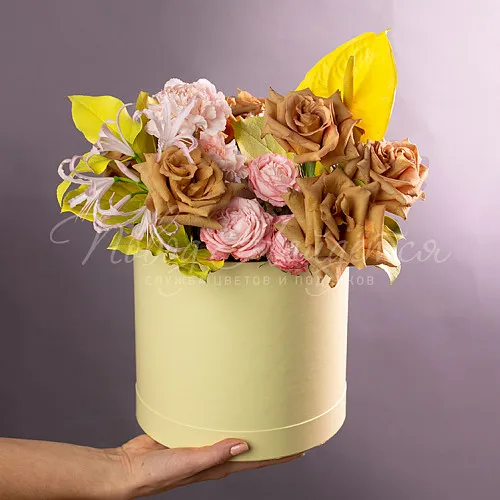 Италия Коллекция Джованни