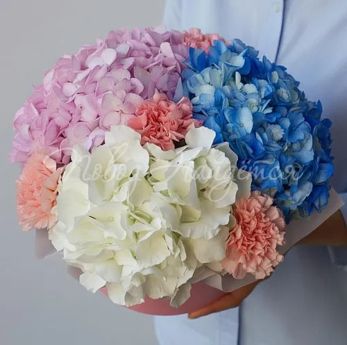 ГОРТЕНЗИИ Букет Зефирный десерт