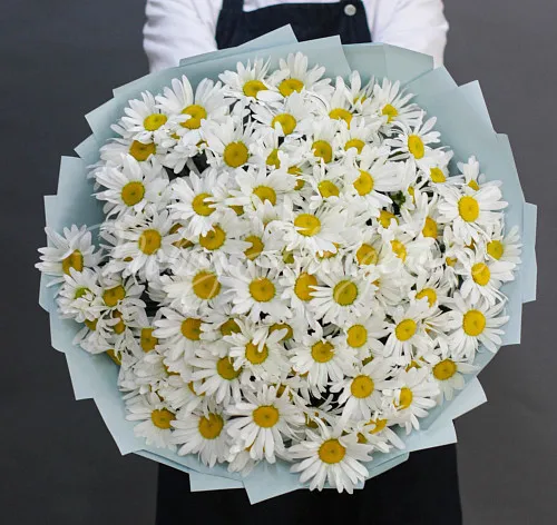 РОМАШКИ Букет Ромашковое поле