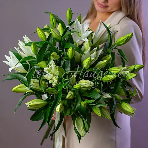 ЛИЛИИ Букет 11 лилий