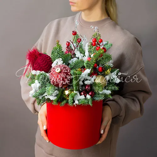 Новый год Морозный день