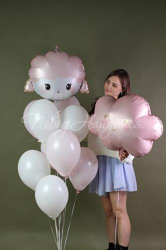 Обычные шары, облака из шаров Облако шаров "Нежные сны"