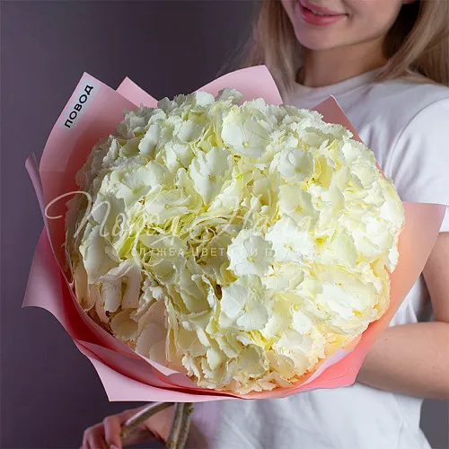 ГОРТЕНЗИИ Букет Вена