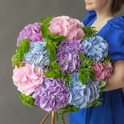 ГОРТЕНЗИИ Букет Подмосковные вечера