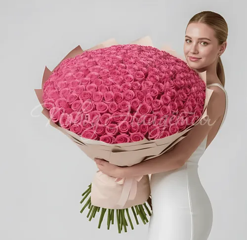 501 роза Букет 501 розовая роза