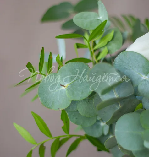 Композиции Цветочная композиция Композиция № 350