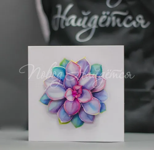  Открытка (цветок)