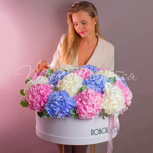 LUX Букет Питерские каникулы