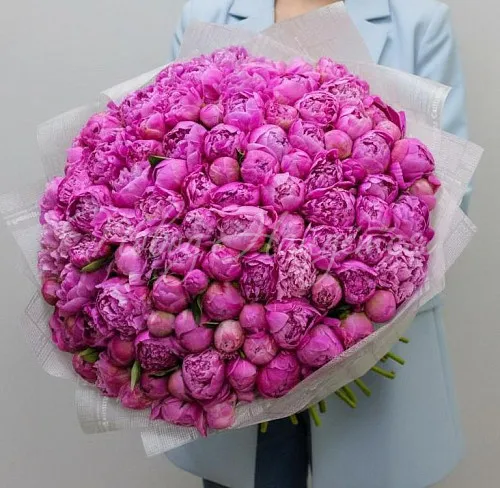 ПИОНЫ Букет Сумасшедший взгляд