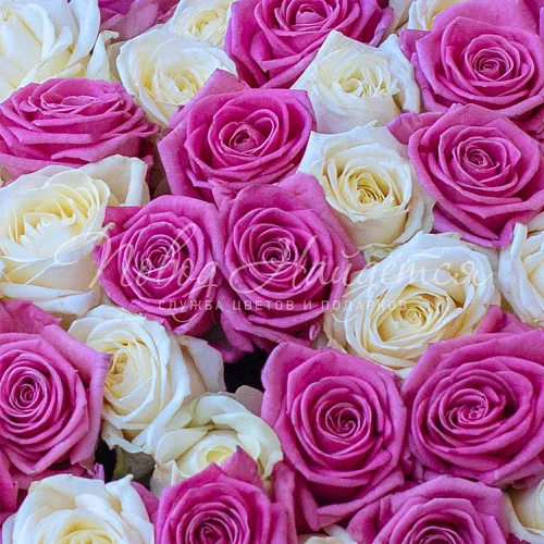 51 роза Букет Сладость