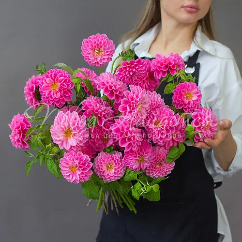 ГЕОРГИНЫ Букет Питайя